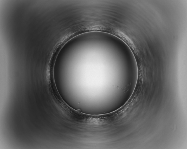 X0000096220298200801181456