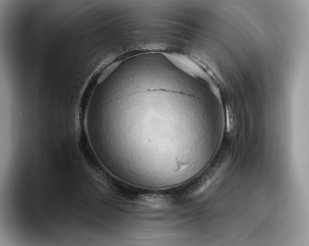 X0000096220300200801181456