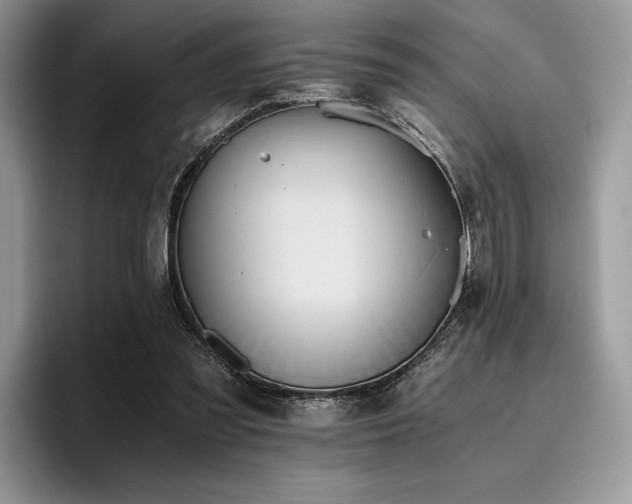 X0000096220301200801181456