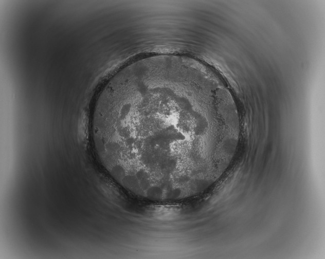 X0000096220303200801181456