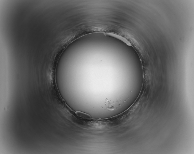 X0000096220305200801181456
