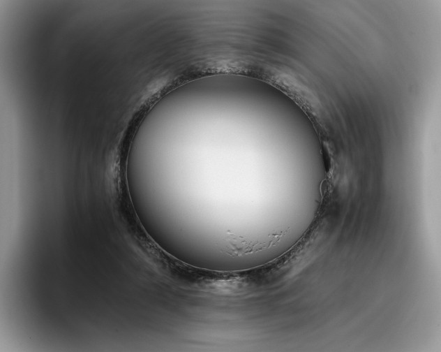 X0000096220306200801181456