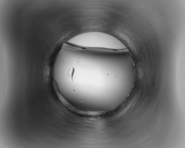 X0000096220308200801181456