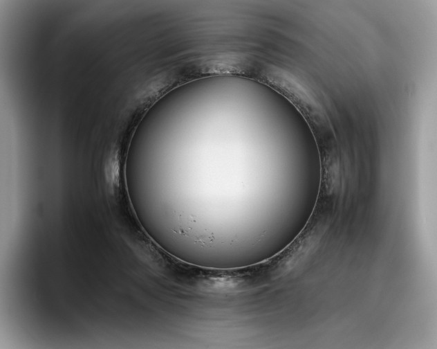 X0000096220310200801181456