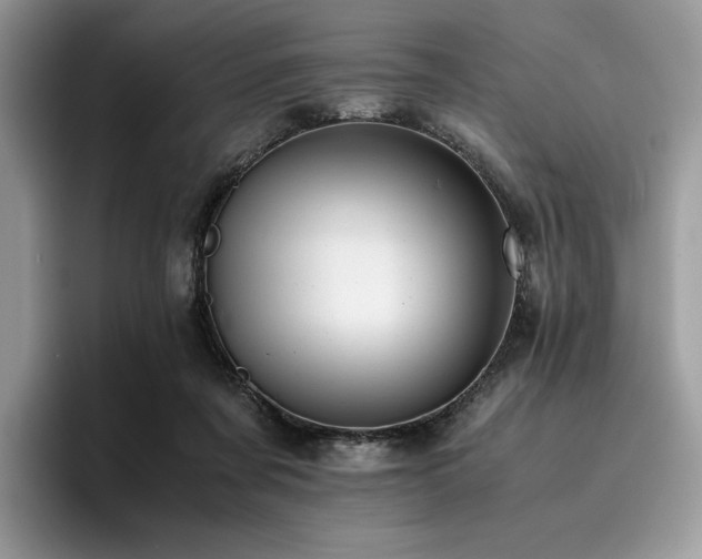 X0000096220311200801181456