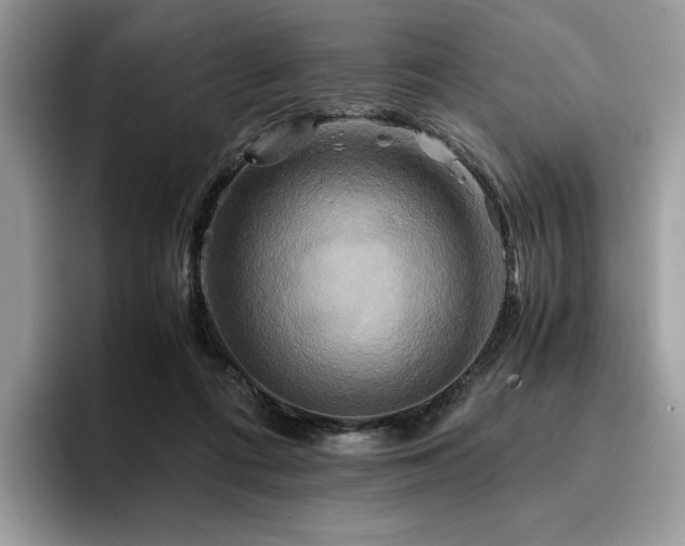 X0000096220312200801181456