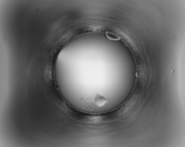 X0000096220313200801181456