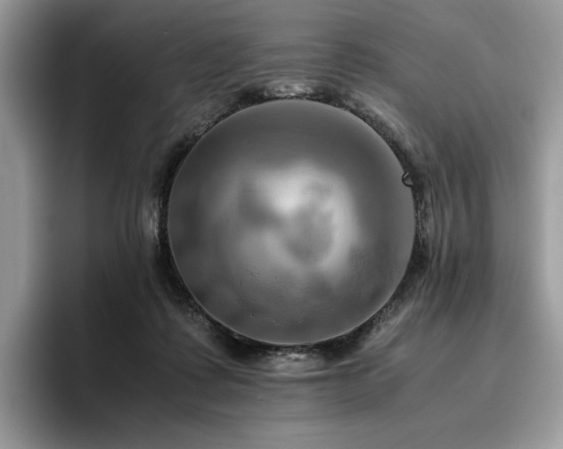 X0000096220315200801181456