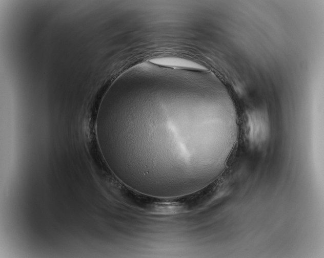 X0000096220316200801181456
