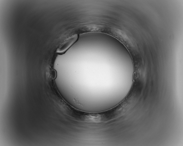 X0000096220317200801181456