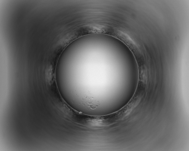 X0000096220318200801181456