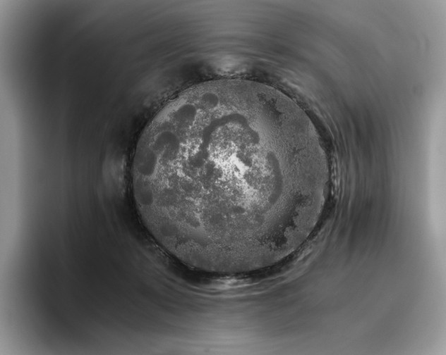 X0000096220319200801181456