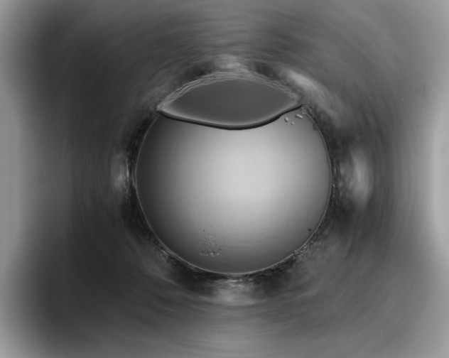 X0000096220320200801181456