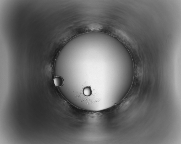 X0000096220321200801181456