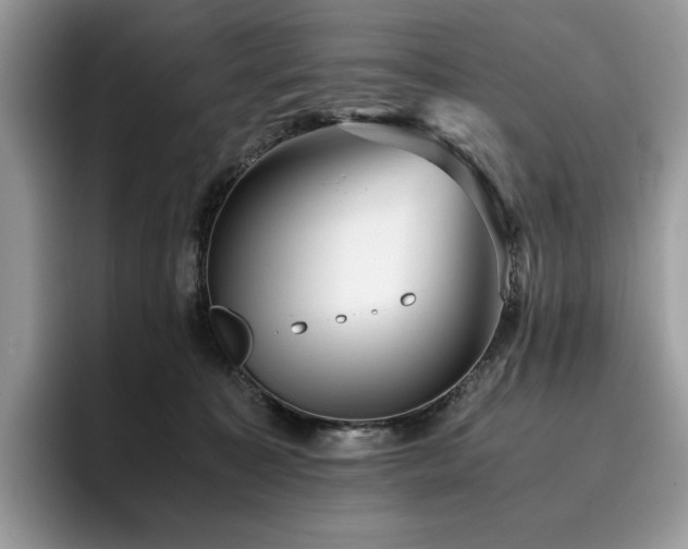 X0000096220323200801181456