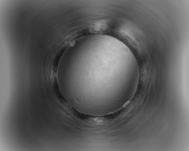X0000096220324200801181456