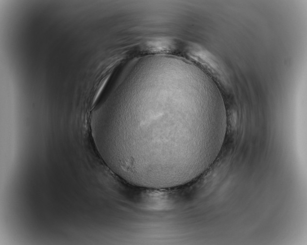 X0000096220325200801181456