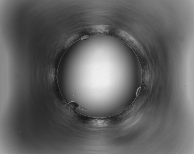 X0000096220326200801181456