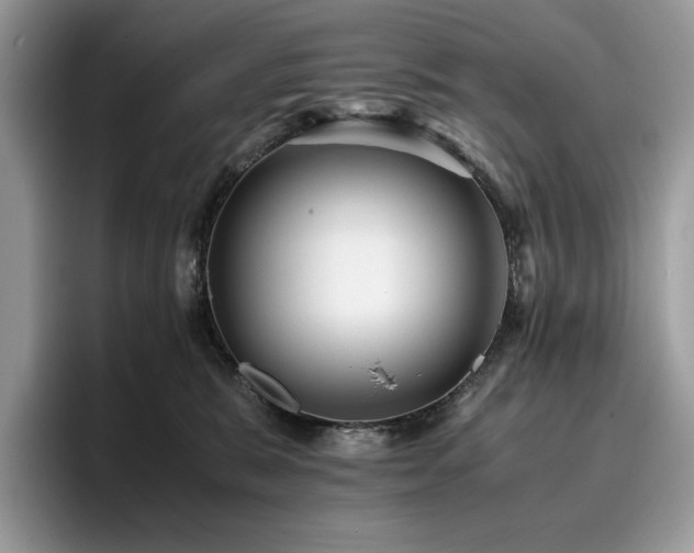 X0000096220327200801181456