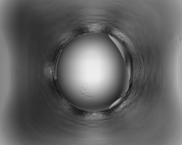 X0000096220329200801181455