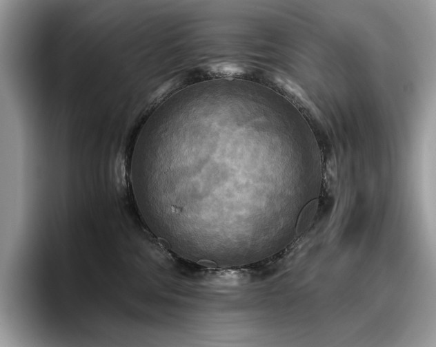 X0000096220330200801181455