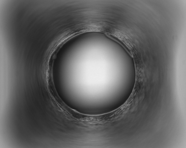 X0000096220338200801181455
