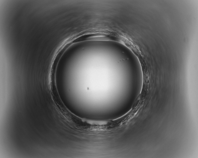 X0000096220340200801181455