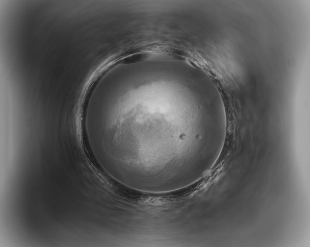 X0000096220341200801181455