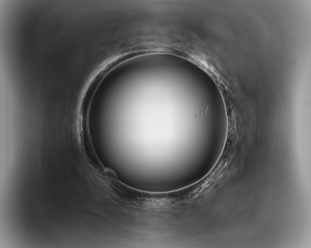 X0000096220342200801181455