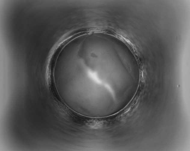 X0000096220343200801181455
