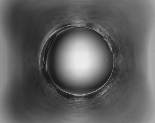 X0000096220344200801181455