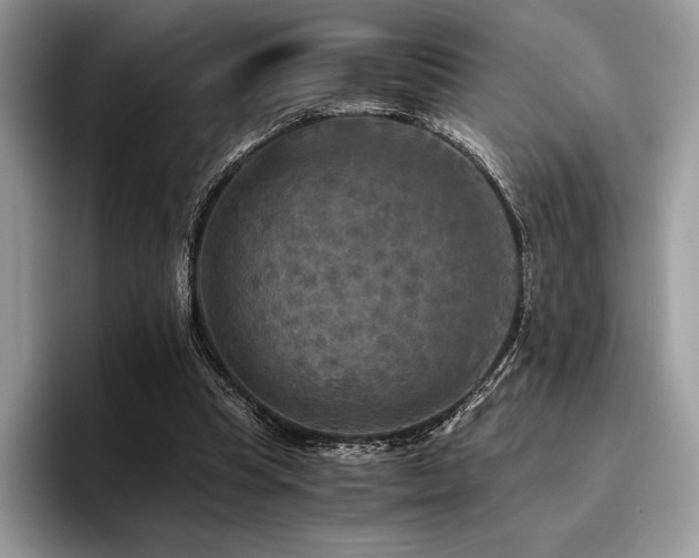 X0000096220345200801181455