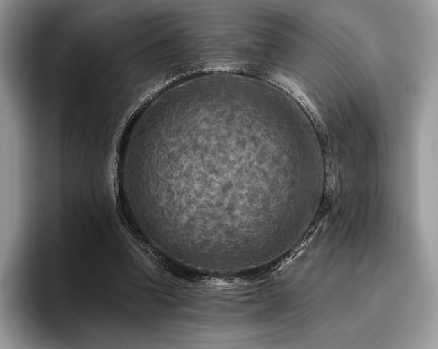 X0000096220346200801181455