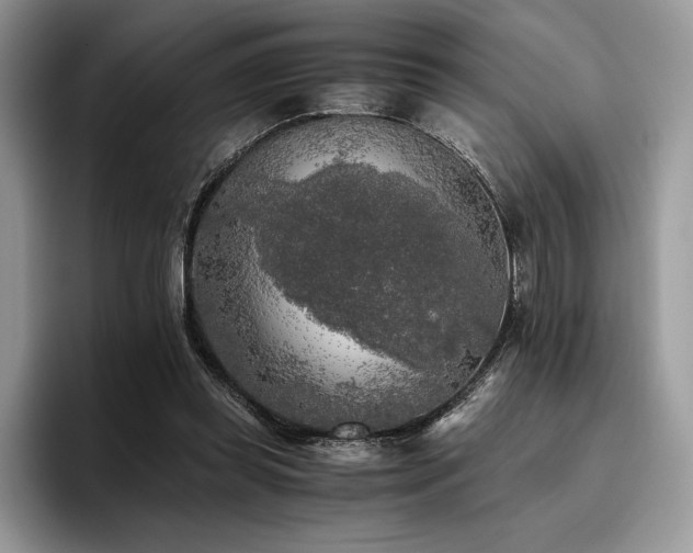 X0000096220349200801181455