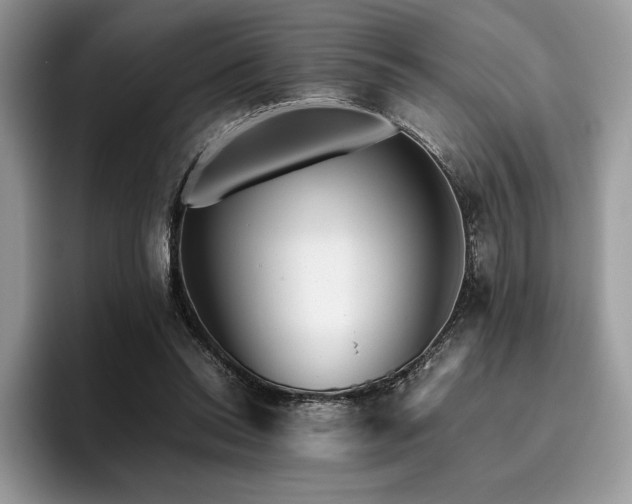 X0000096220350200801181455