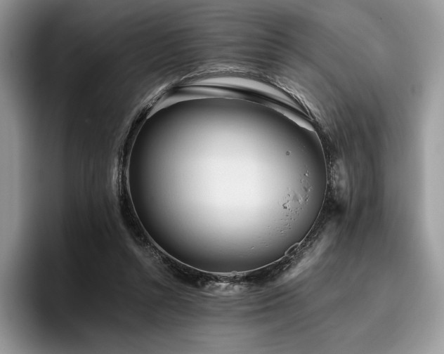 X0000096220352200801181455