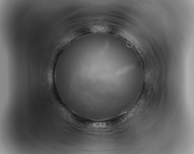 X0000096220353200801181455