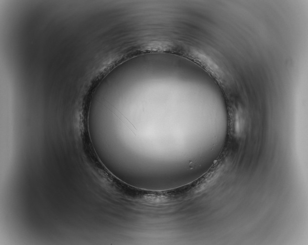 X0000096220354200801181455