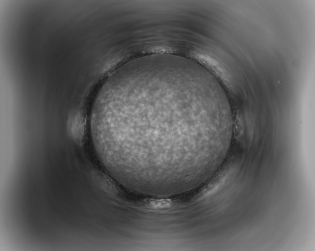 X0000096220355200801181455