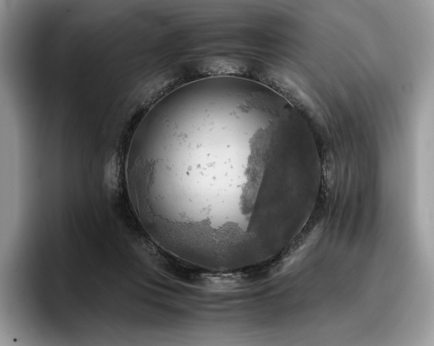 X0000096220359200801181455
