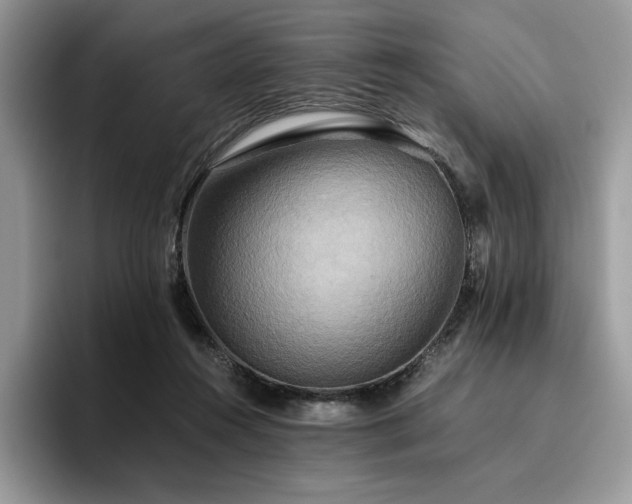 X0000096220360200801181455