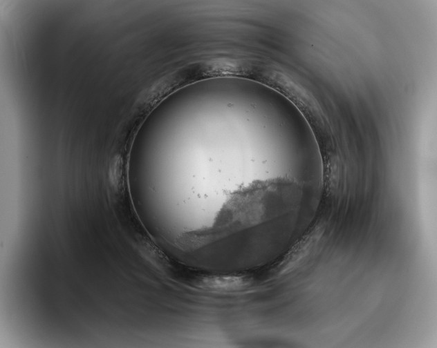 X0000096220361200801181455