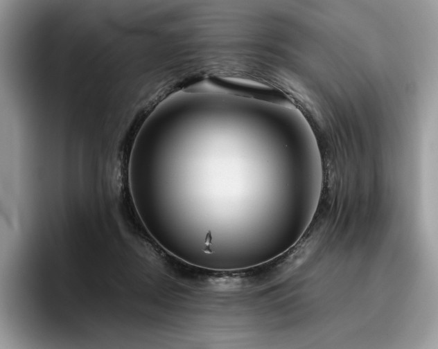 X0000096220362200801181455