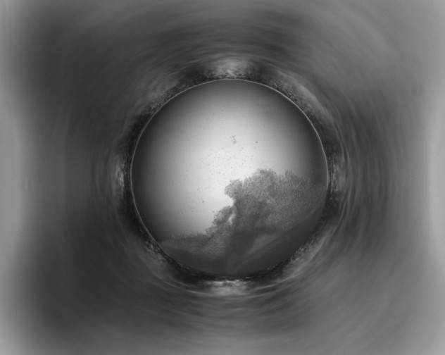 X0000096220363200801181455