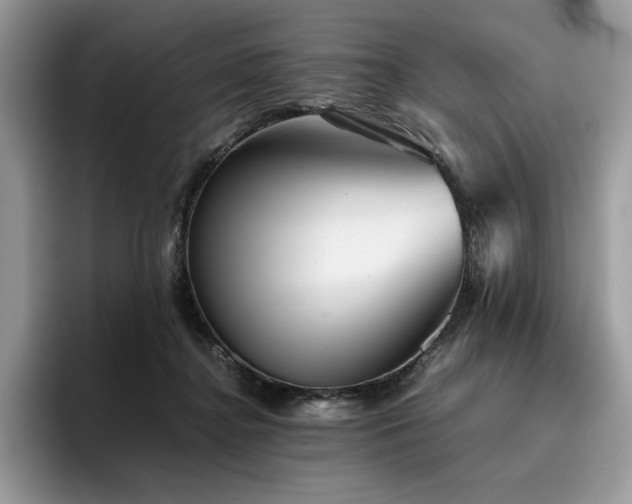 X0000096220364200801181455