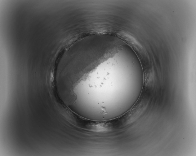 X0000096220365200801181455