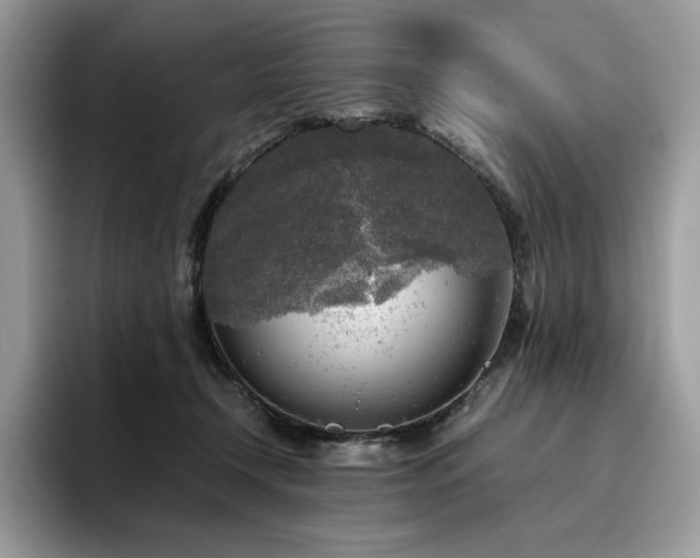 X0000096220366200801181455
