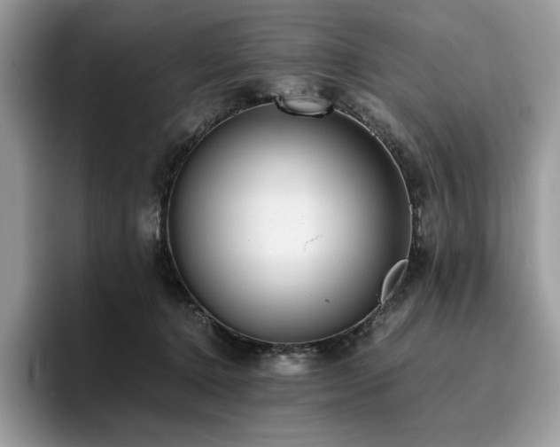 X0000096220368200801181455