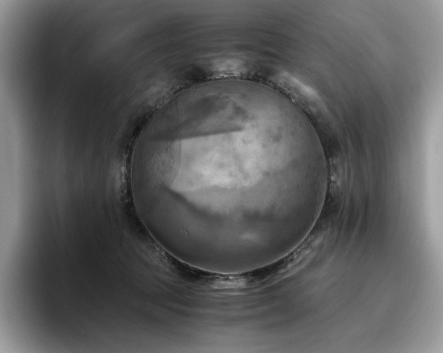X0000096220369200801181455