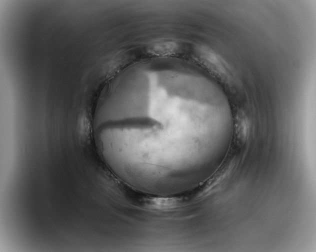 X0000096220371200801181455